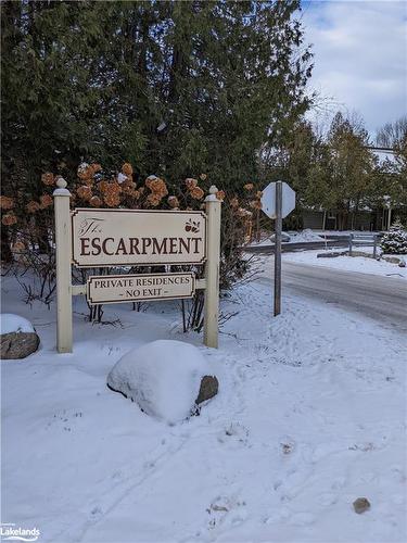 201 Escarpment Crescent, Collingwood, ON - Outdoor