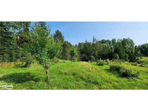 0 Pearceley Road, Magnetawan, ON 