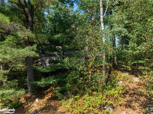 53B Forest Access Road, Port Loring, ON - Outdoor