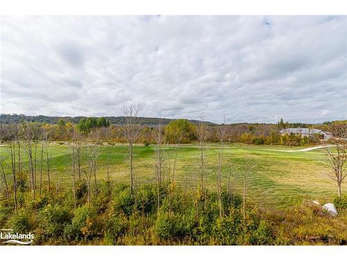 20-117 Sladden Court, Thornbury, ON - Outdoor With View