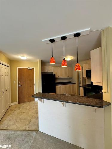 302-24 Dairy Lane, Huntsville, ON - Indoor Photo Showing Kitchen