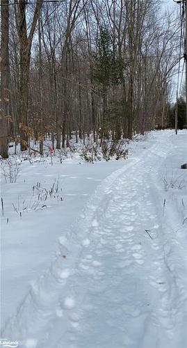 30 Mcvittie Island, Bracebridge, ON - Outdoor With View