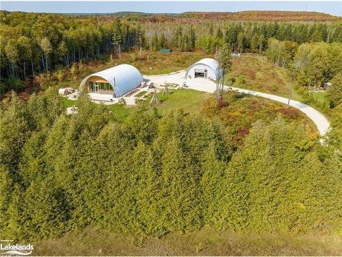 429697 8Th Concession B Road, Grey Highlands, ON - Outdoor With View