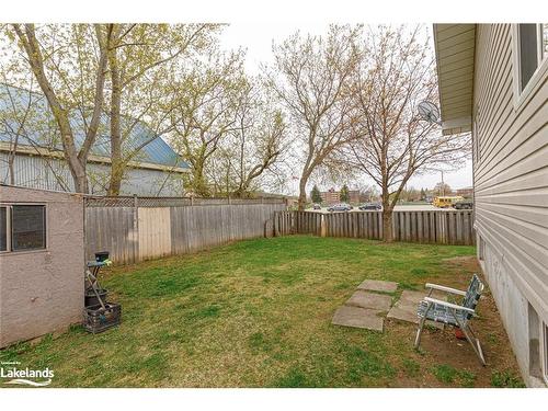 51 Raglan Street, Collingwood, ON - Outdoor With Backyard