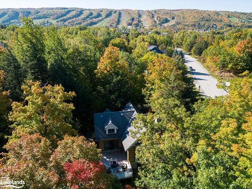 155 Aspen Way, The Blue Mountains, ON - Outdoor With View