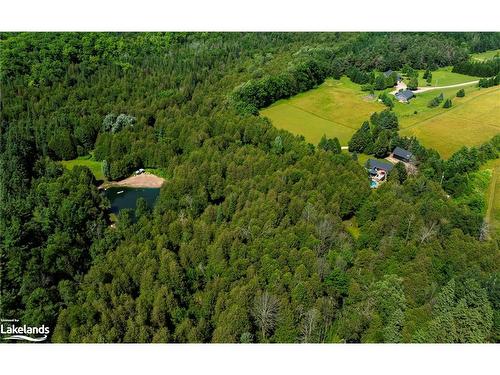 506097 Highway 89, Mulmur, ON - Outdoor With View