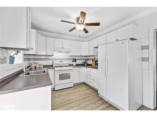 16 Alice Street, Hamilton, ON - Indoor Photo Showing Kitchen With Double Sink