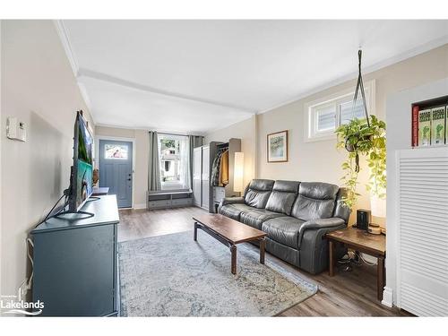 16 Alice Street, Hamilton, ON - Indoor Photo Showing Living Room