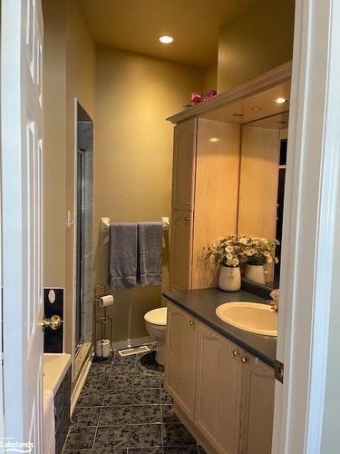 12 Cranberry Surf, Collingwood, ON - Indoor Photo Showing Bathroom