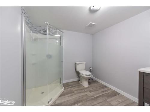 3132 Goldstein Road, Washago, ON - Indoor Photo Showing Bathroom