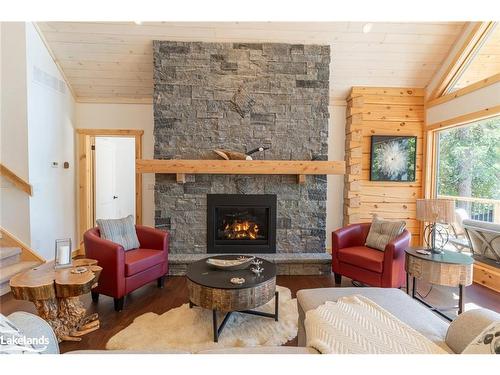 1316 True North Road, Haliburton, ON - Indoor Photo Showing Living Room With Fireplace