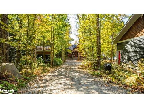 1316 True North Road, Haliburton, ON - Outdoor