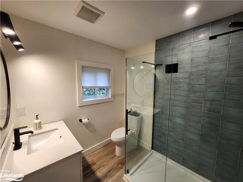 29 Richmond Street, Emsdale, ON - Indoor Photo Showing Bathroom