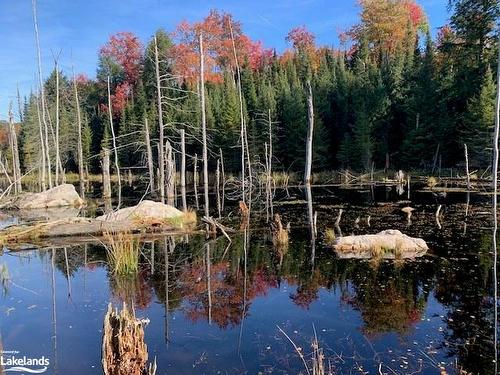 0 Sugar Bush Road E, Magnetawan, ON 