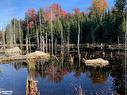 0 Sugar Bush Road E, Magnetawan, ON 