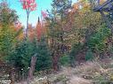 0 Sugar Bush Road E, Magnetawan, ON 