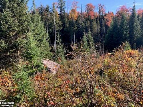 0 Sugar Bush Road E, Magnetawan, ON 