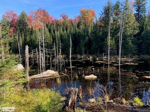 0 Sugar Bush Road E, Magnetawan, ON 