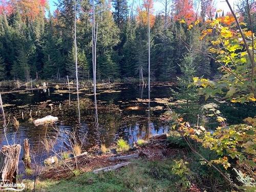 0 Sugar Bush Road E, Magnetawan, ON 