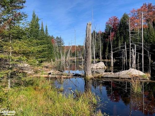 0 Sugar Bush Road E, Magnetawan, ON 