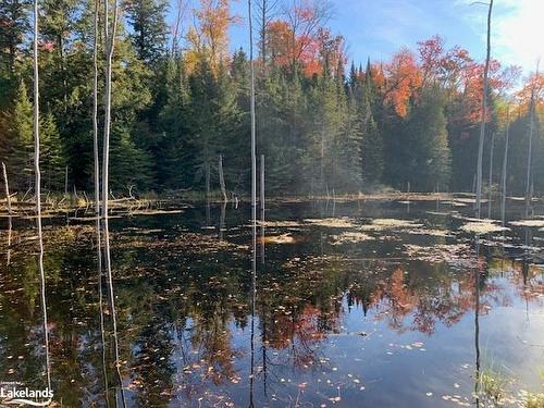 0 Sugar Bush Road E, Magnetawan, ON 