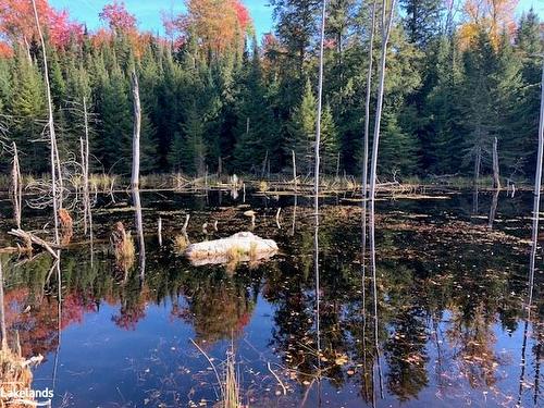 0 Sugar Bush Road E, Magnetawan, ON 