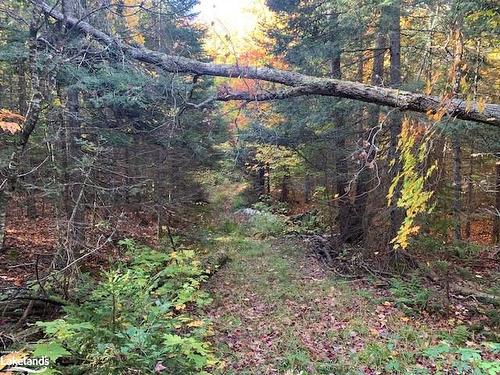 0 Sugar Bush Road E, Magnetawan, ON 