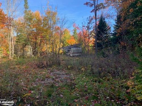 0 Sugar Bush Road E, Magnetawan, ON 