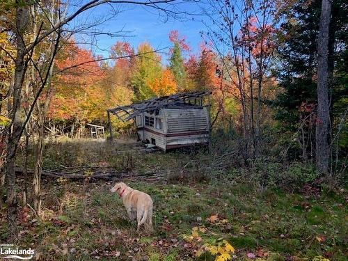 0 Sugar Bush Road E, Magnetawan, ON 