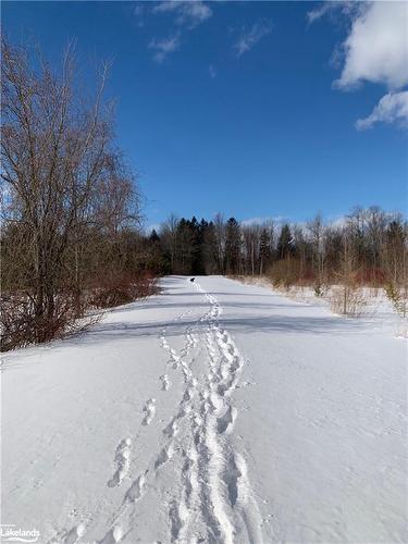 153 Swarthmore Drive, Meaford, ON - Outdoor With View