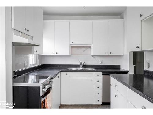 121 Cedar Street, Collingwood, ON - Indoor Photo Showing Kitchen With Double Sink