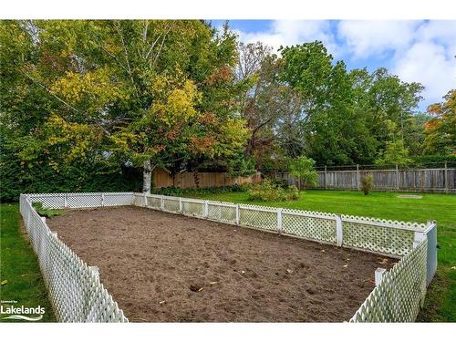 121 Cedar Street, Collingwood, ON - Outdoor With Backyard