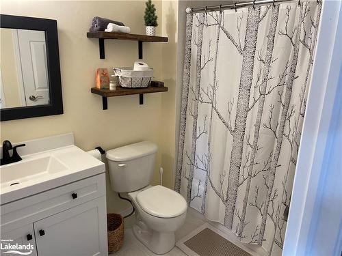 3 Royalton Lane, Collingwood, ON - Indoor Photo Showing Bathroom