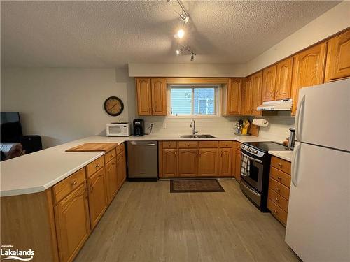 24 55Th Street S, Wasaga Beach, ON - Indoor Photo Showing Kitchen With Double Sink