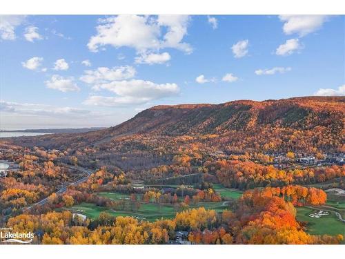 102 Goldie Court, Clarksburg, ON - Outdoor With View