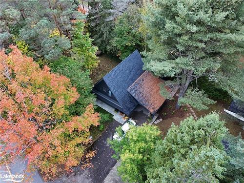 18 Wilshier Boulevard, Bracebridge, ON - Outdoor