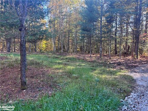 Lot 1 N/A, Haliburton, ON 