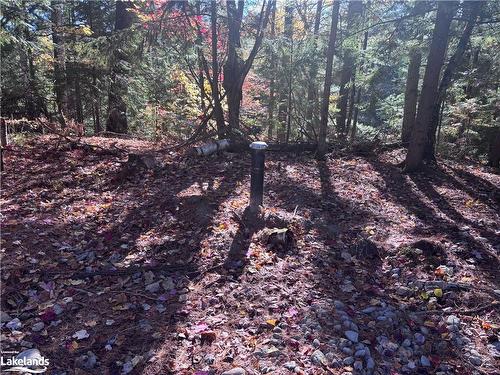 Lot 1 N/A, Haliburton, ON 