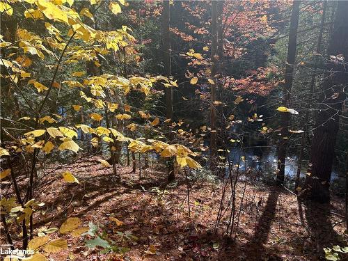 Lot 1 N/A, Haliburton, ON 