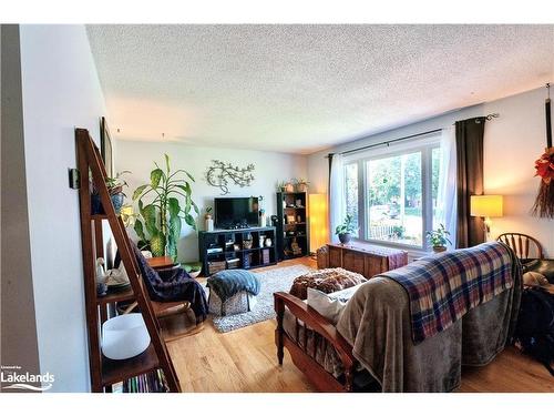 143 Orchard Drive, Thornbury, ON - Indoor Photo Showing Living Room