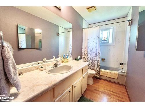 143 Orchard Drive, Thornbury, ON - Indoor Photo Showing Bathroom