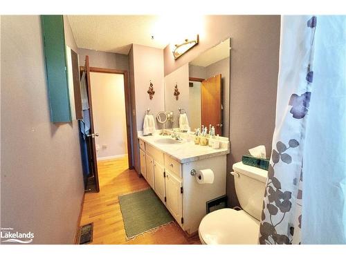 143 Orchard Drive, Thornbury, ON - Indoor Photo Showing Bathroom