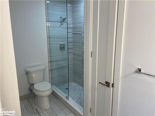 221-1 Hume Street, Collingwood, ON - Indoor Photo Showing Bathroom