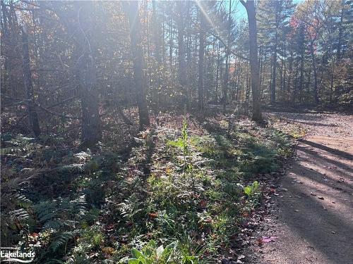 Lot 5 N/A, Haliburton, ON 