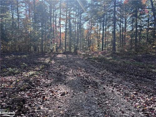 Lot 5 N/A, Haliburton, ON 