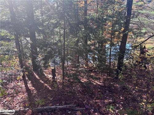 Lot 5 N/A, Haliburton, ON 