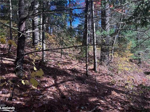 Lot 5 N/A, Haliburton, ON 