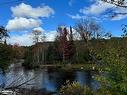 Lot 6 N/A, Haliburton, ON 