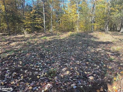 Lot 6 N/A, Haliburton, ON 