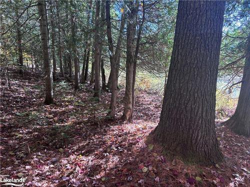 Lot 6 N/A, Haliburton, ON 